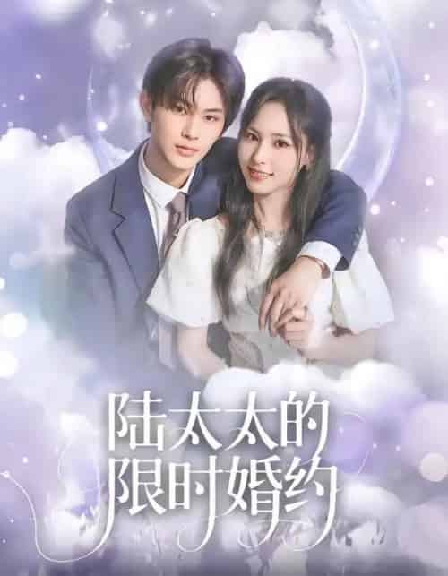 陆太太的限时婚约(60集全)张亿&蒋非琳-紫橙资源网