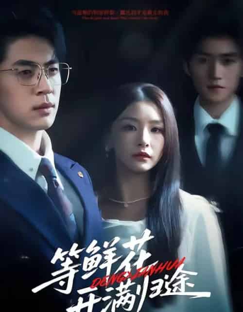 等鲜花开满归途（61集全）金锦灿＆贾金赛＆费晨曦＆瞿宇-紫橙资源网