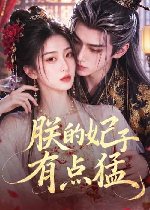 朕的妃子有点猛（50集全）AI-紫橙资源网