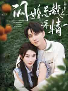 闪婚总裁太深情（93集全）-紫橙资源网