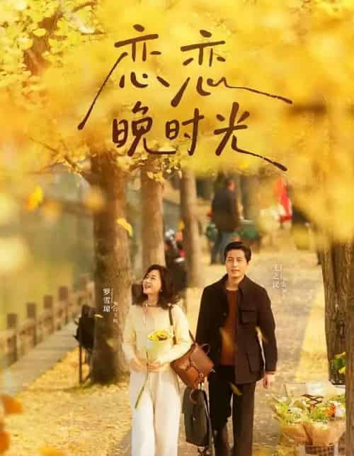 恋恋晚时光（70集全）王之民＆罗雪琼-紫橙资源网