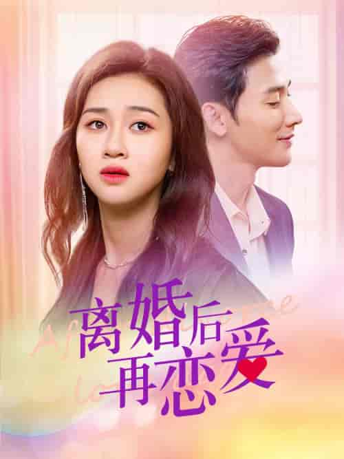 离婚后再恋爱（100集）-紫橙资源网