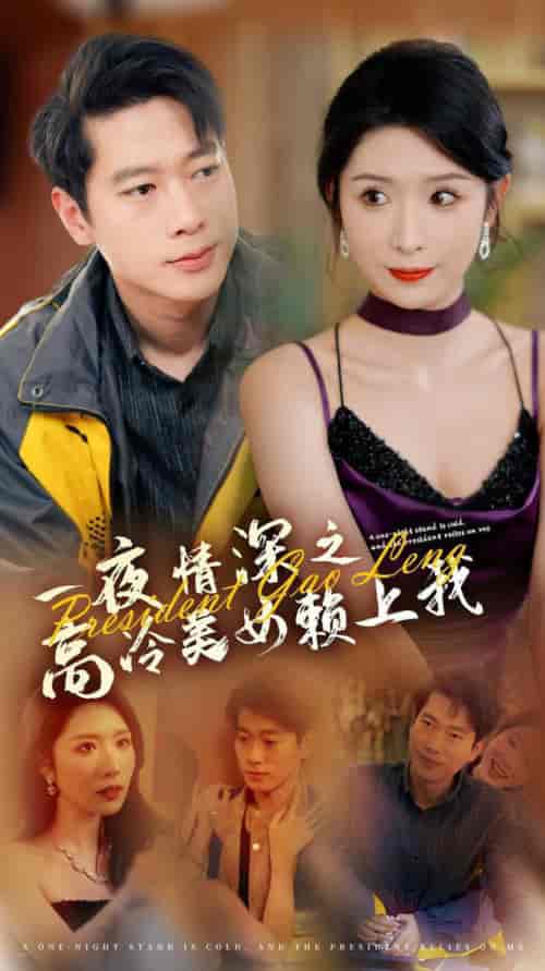 一夜情深之高冷美女赖上我(71集全)张子安&蒋昕妍-紫橙资源网