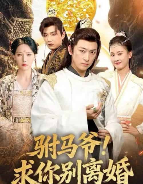 驸马爷！求你别离婚（80集全）马东辰＆千歆-紫橙资源网