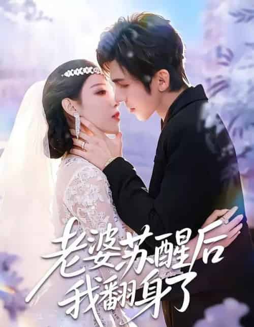 老婆苏醒后我翻身了(57集全)刘旭&刘欣然-紫橙资源网