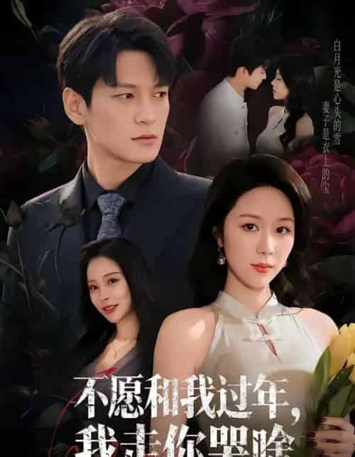 不愿和我过年,我走你哭啥(74集全)肖涵&钟莹玲-紫橙资源网