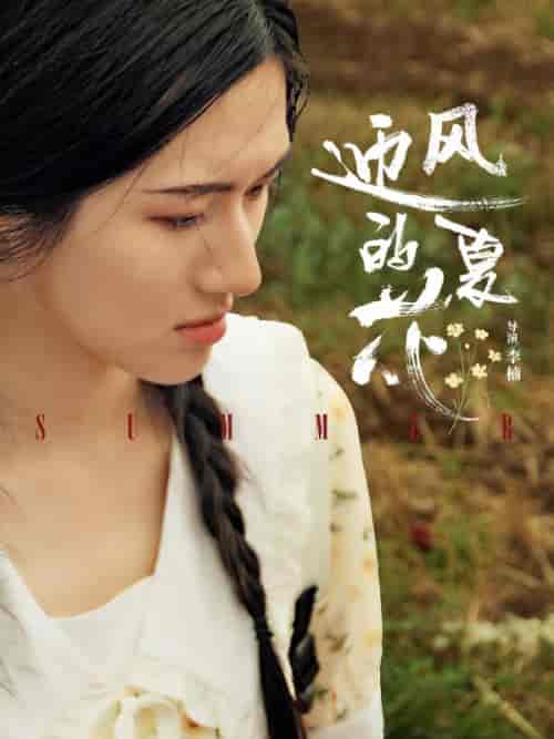 迎风的夏花（100集全）傅寒川＆乔夏-紫橙资源网