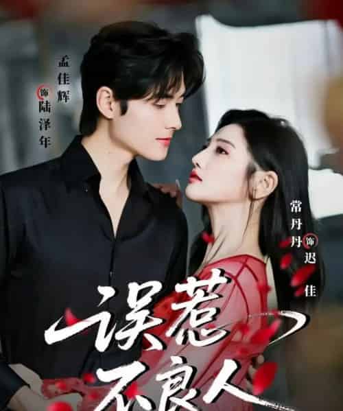 误惹不良人(65集全)常丹丹&孟佳辉-紫橙资源网