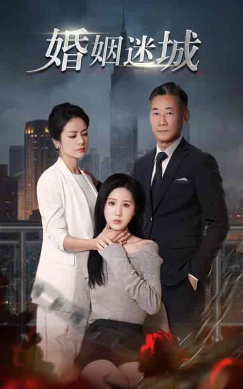 新：婚姻迷城（60集全）-紫橙资源网