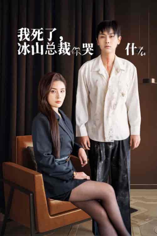 我死了冰山总裁你哭什么（30集全）-紫橙资源网