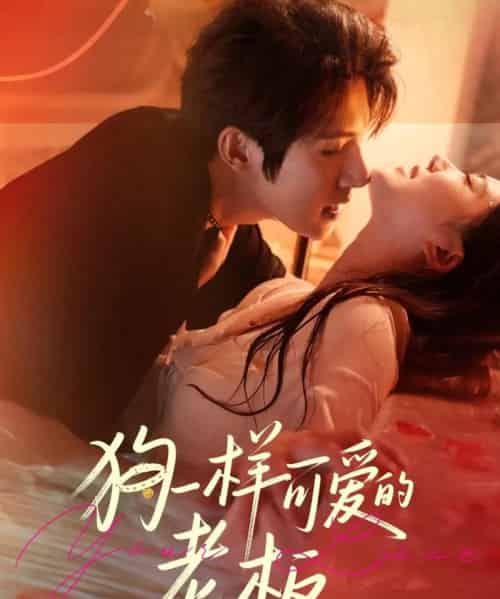 狗一样可爱的老板（63集全）朱一未＆白昕怡-紫橙资源网
