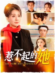 惹不起的她(106集)屈婉琼-紫橙资源网