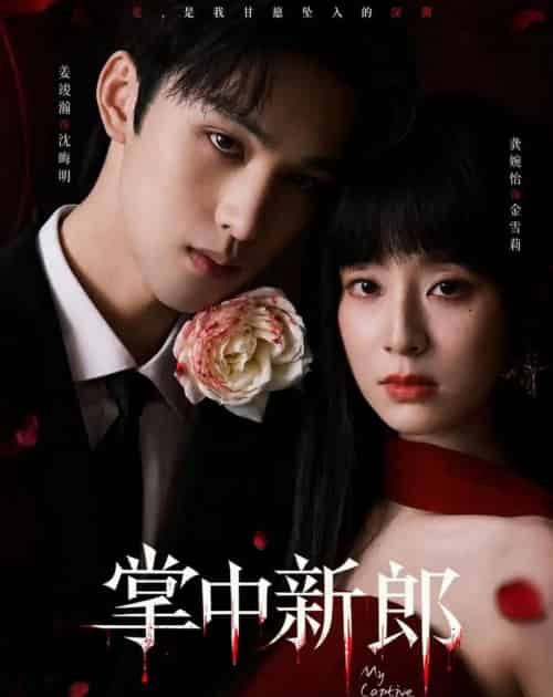掌中新郎(60集全)姜竣瀚&龚婉怡-紫橙资源网