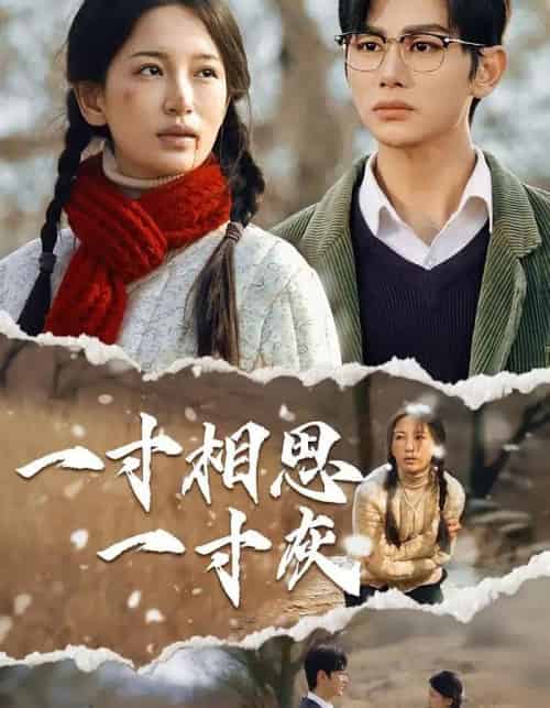 一寸相思一寸灰（43集）-紫橙资源网