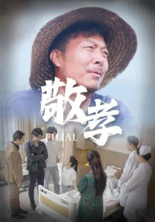 敬孝（61集）王燕 - 紫橙短剧