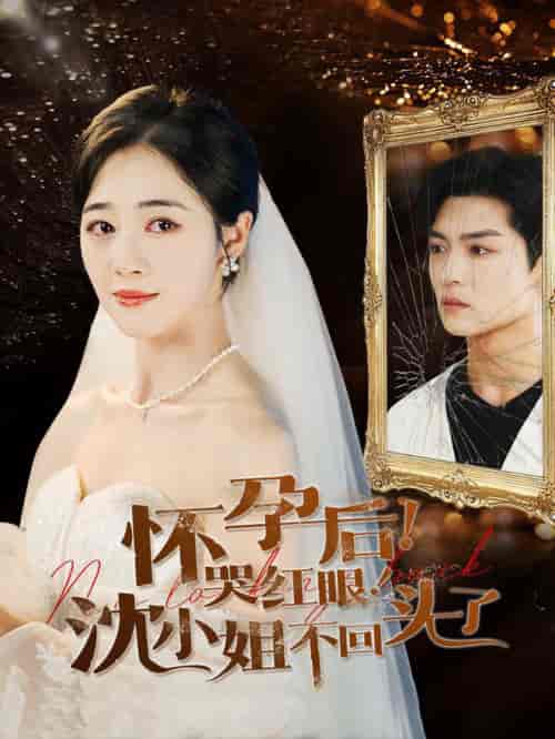 怀孕后哭红眼沈小姐不回头了（64集全）-紫橙资源网
