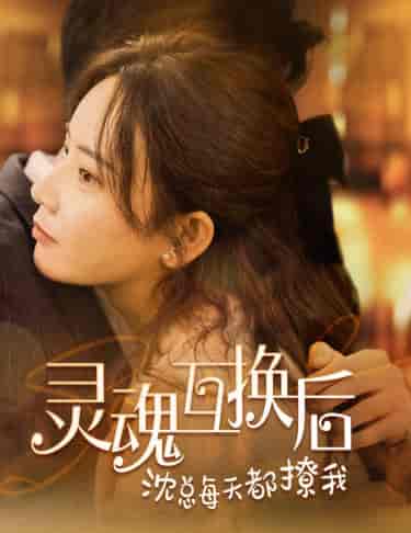 灵魂互换后沈总每天都撩我(80集)-紫橙资源网
