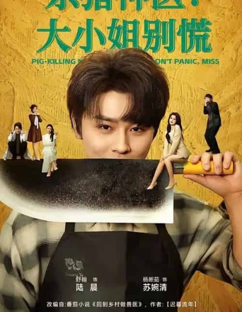 杀猪神医,大小姐别慌(80集全)舒瀚&杨晰茹-紫橙资源网