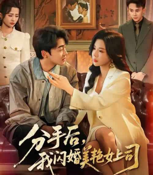 分手后,我闪婚美艳女上司(62集全)涂蕊&王鑫源-紫橙资源网