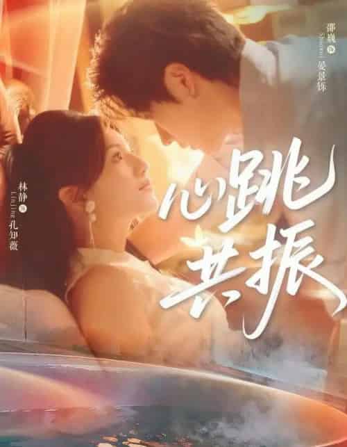 心跳共振（60集全）邵巍＆林静-紫橙资源网