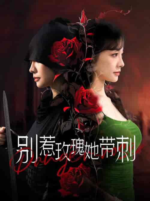 别惹玫瑰她带刺（100集全）-紫橙资源网