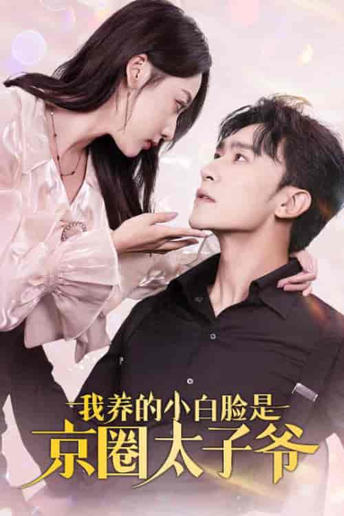 我养的小白脸是京圈太子爷（71集全）沉思＆李若琪-紫橙资源网