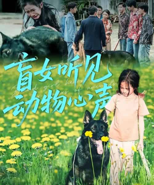 盲女听见动物心声（61集）-紫橙资源网