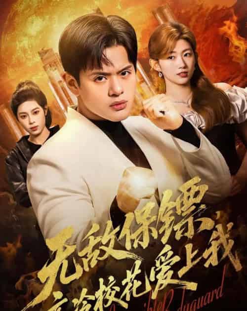 无敌保镖，高冷校花爱上我（66集全）沈驰＆崔丰美慧-紫橙资源网