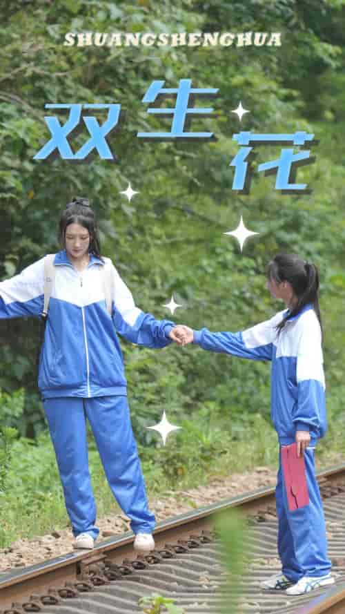 双生花（36集）-紫橙资源网