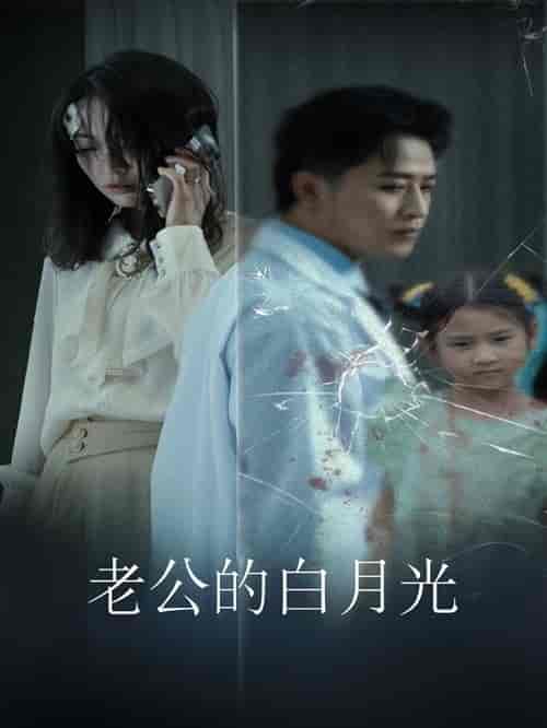 老公的白月光（30集）-紫橙资源网