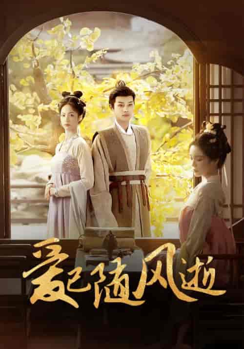 爱已随风逝（45集全）顾云峥＆沈凝-紫橙资源网