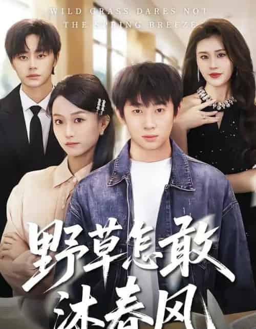 野草怎敢沐春风（61集全）王楚＆周瑾阳-紫橙资源网