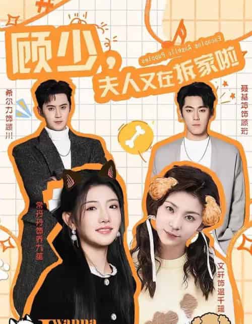 顾少，夫人又在拆家啦（78集全）希尔力＆常丹丹-紫橙资源网