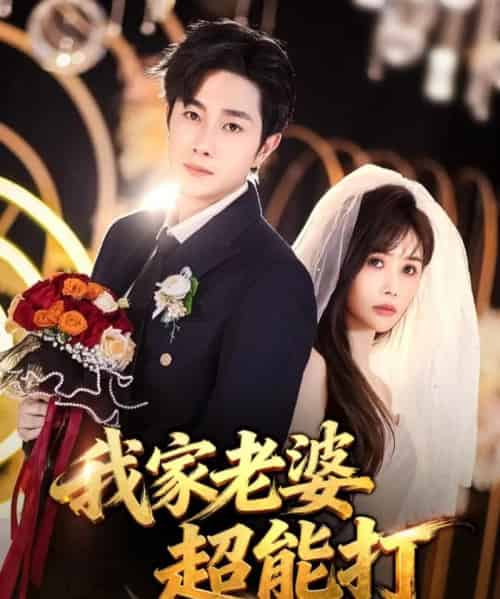 我家老婆超能打（60集全）王新颖＆杨皓竣-紫橙资源网