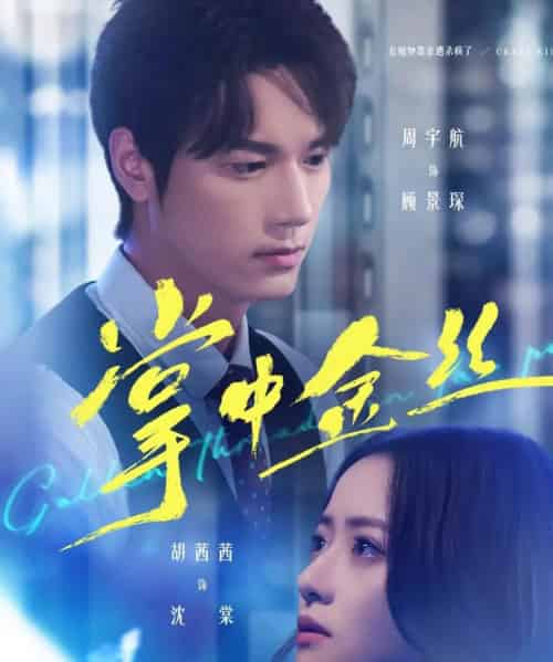 掌中金丝＆长姐她竟是隐藏大佬（60集全）周宇航＆胡茜茜-紫橙资源网