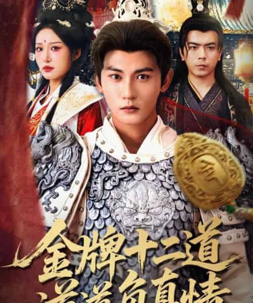 金牌十二道道道负真情（70集全）宋楠＆孙虎城-紫橙资源网
