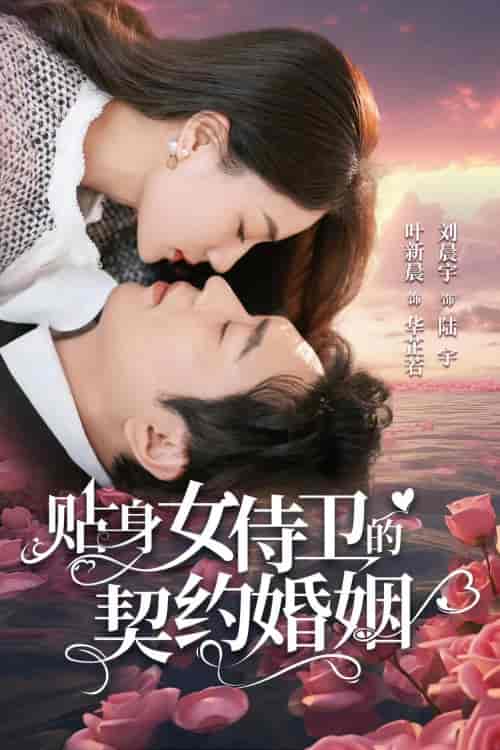 贴身女侍卫的契约婚姻（91集）-紫橙资源网