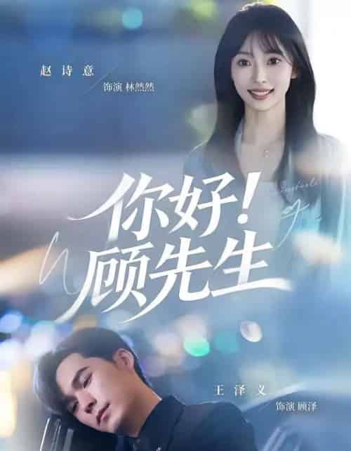 你好!顾先生(60集全)赵诗意&王泽义-紫橙资源网