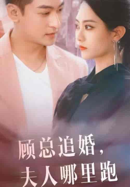顾总追婚，夫人哪里逃（100集全）顾言洛＆林雅南 - 紫橙短剧
