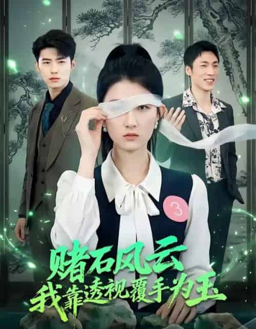 赌石风云:我靠透视覆手为玉(85集全)赵敏琪&蔡佳伦-紫橙资源网