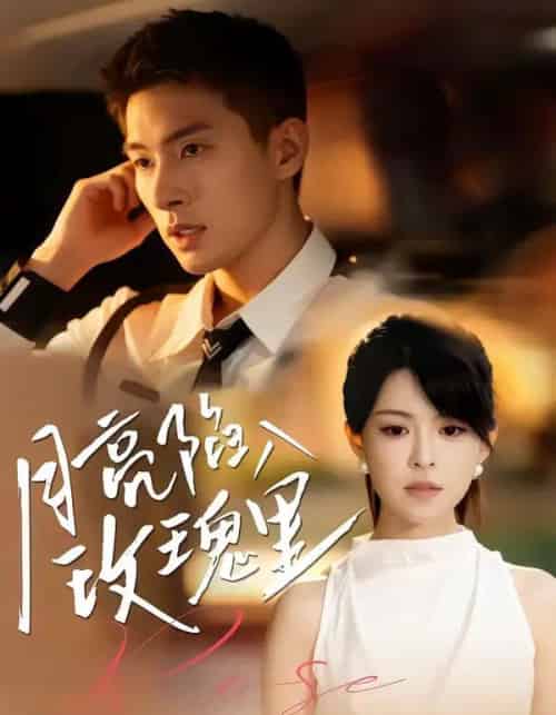 月亮陷入玫瑰里(60集全)邹盛文&黄子珺-紫橙资源网