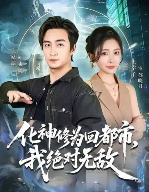 化神修为回都市,我绝对无敌(69集全)王家霖&王幸子-紫橙资源网
