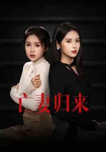 亡妻归来（85集）-紫橙资源网