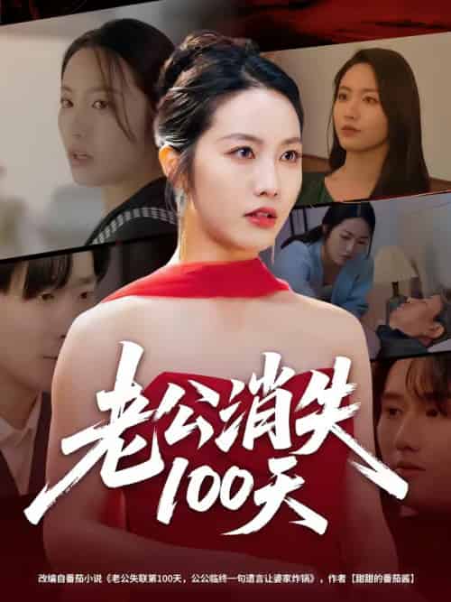 老公消失100天（80集全）白雪茹＆张樊-紫橙资源网