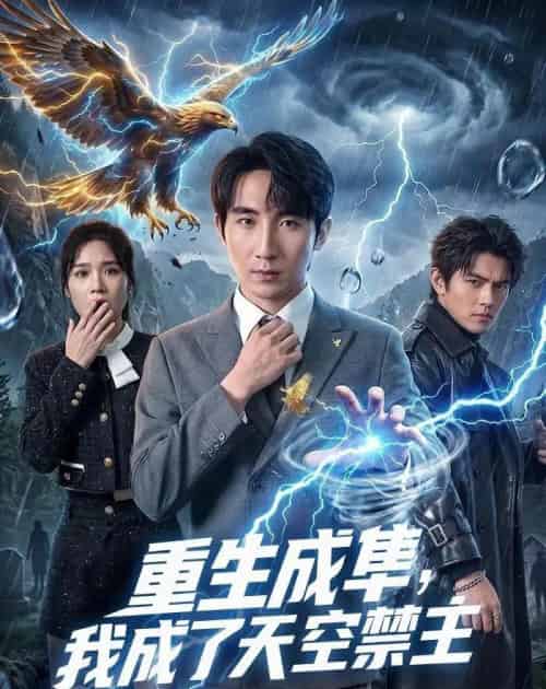 重生成隼，我成了天空禁主（68集全）刘飞＆思雨-紫橙资源网