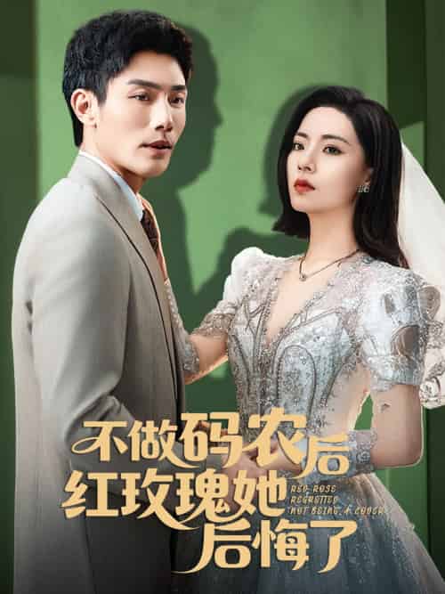 不做码农后红玫瑰她后悔了(60集)张培宝&王瀚迎-紫橙资源网