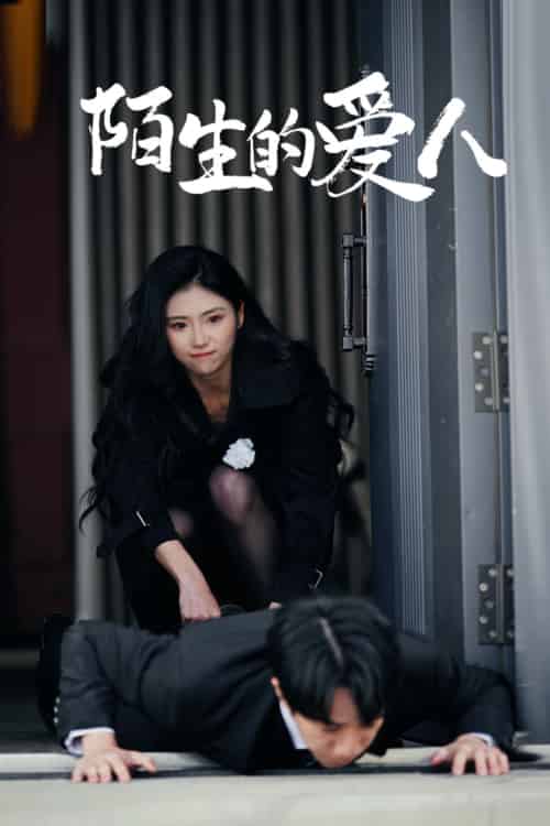 陌生的爱人（60集）骆虹宇-紫橙资源网