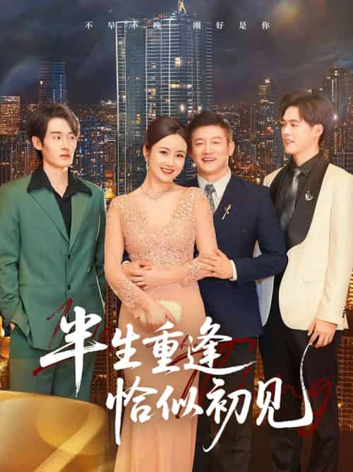 半生重逢恰似初见（90集）滕林-紫橙资源网