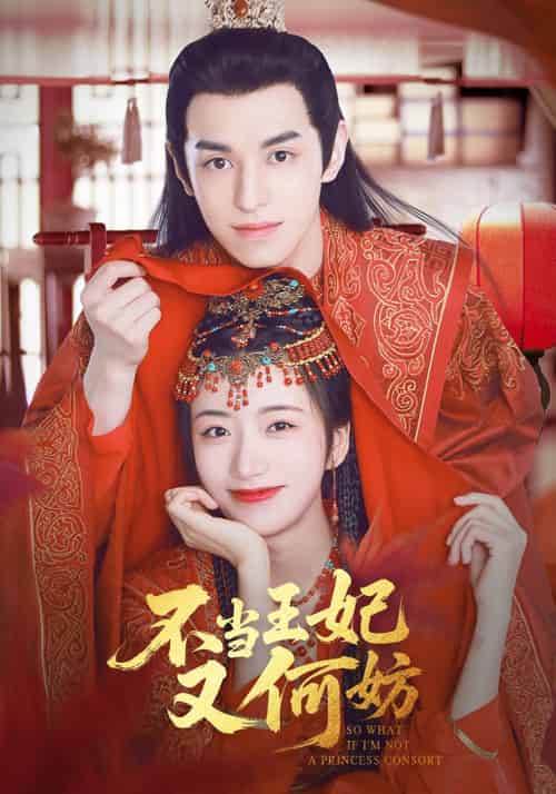 不当王妃又何妨（71集）辛悦＆左叶-紫橙资源网