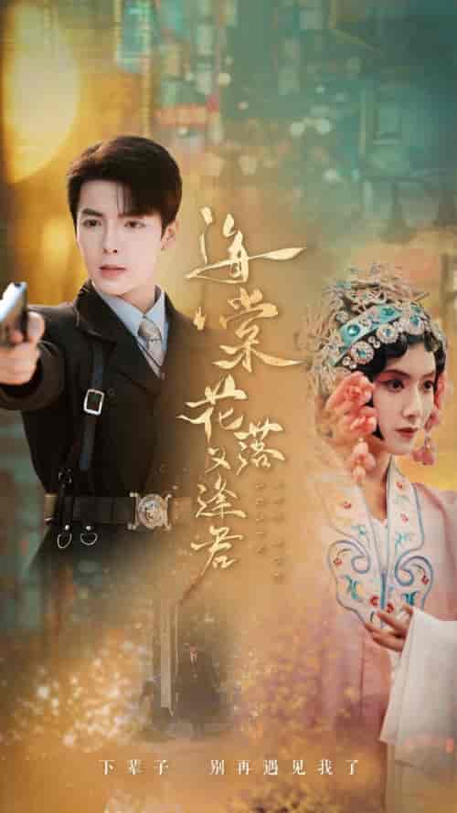 海棠花落又逢君（66集全）-紫橙资源网